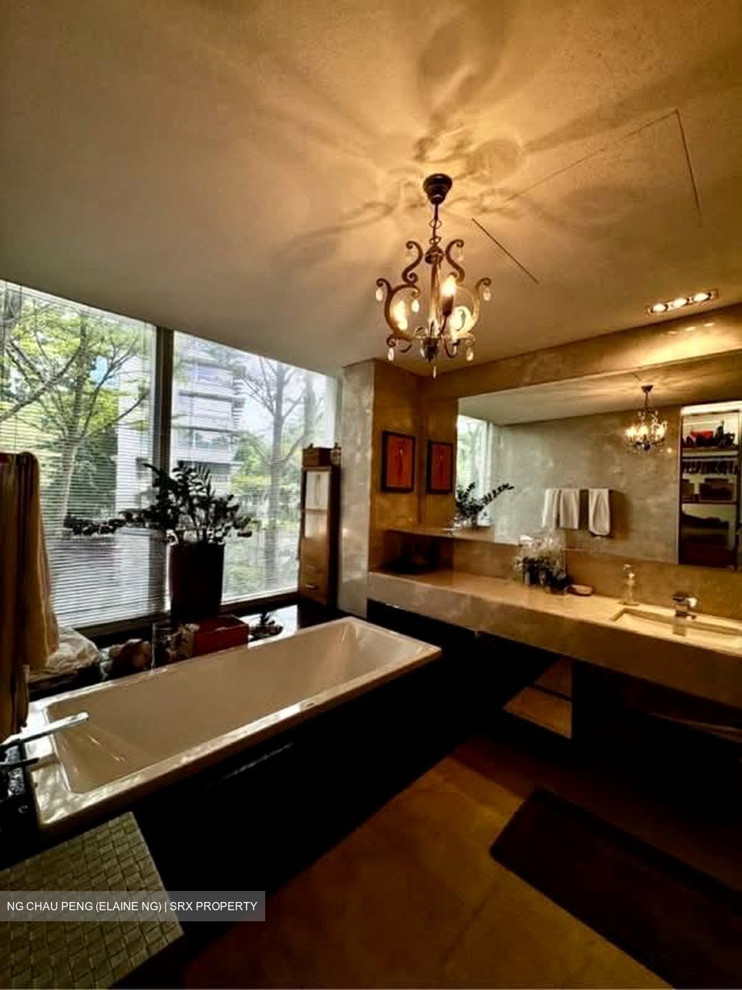 St. Regis Residences (D10), Apartment #580522011